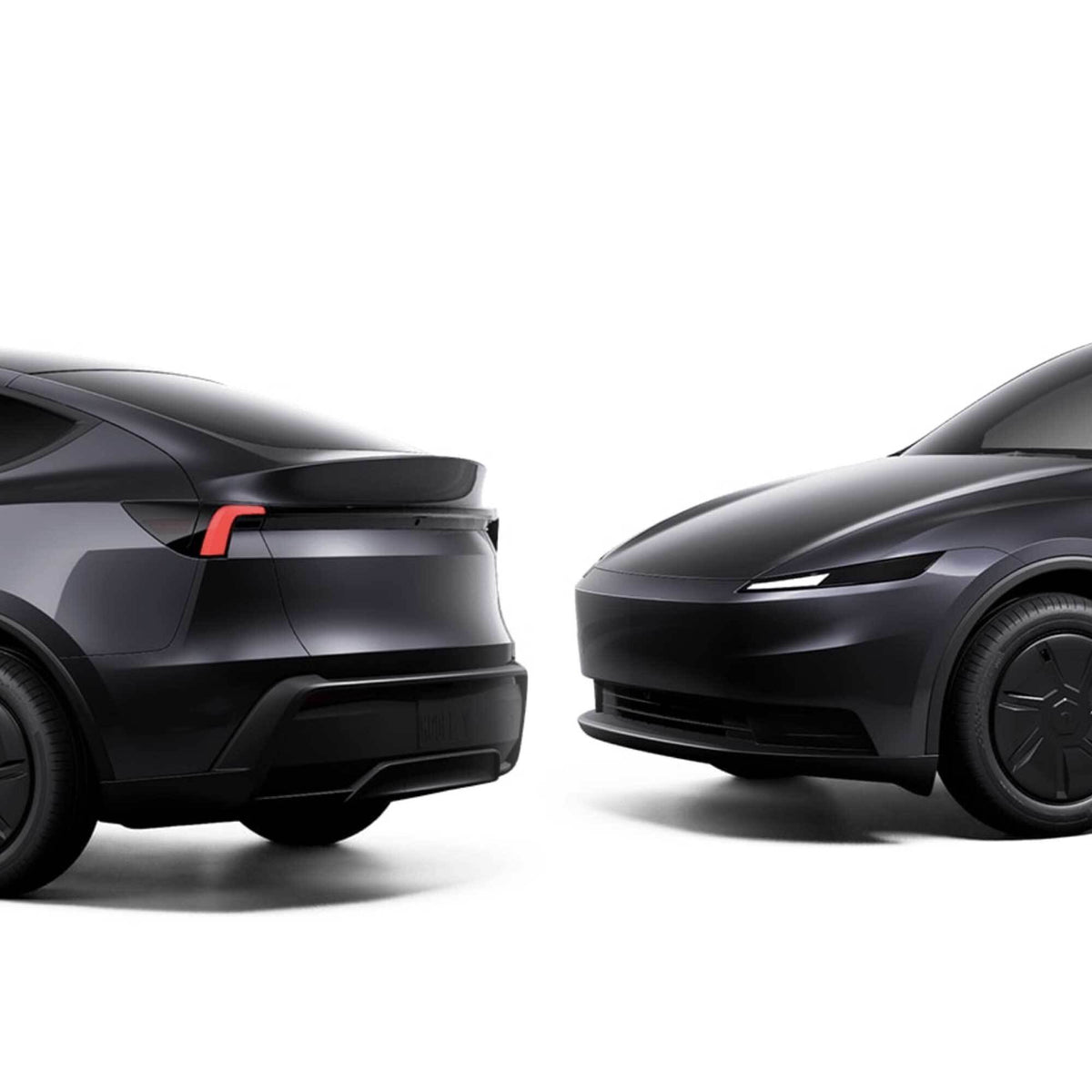 DIY Full Body Protection Kit - PPF for Model Y Juniper