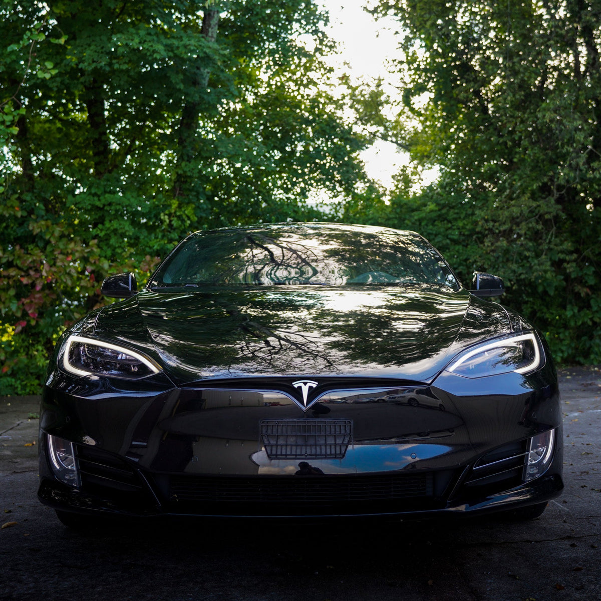 Lights Protection - PPF Bundle for Model S