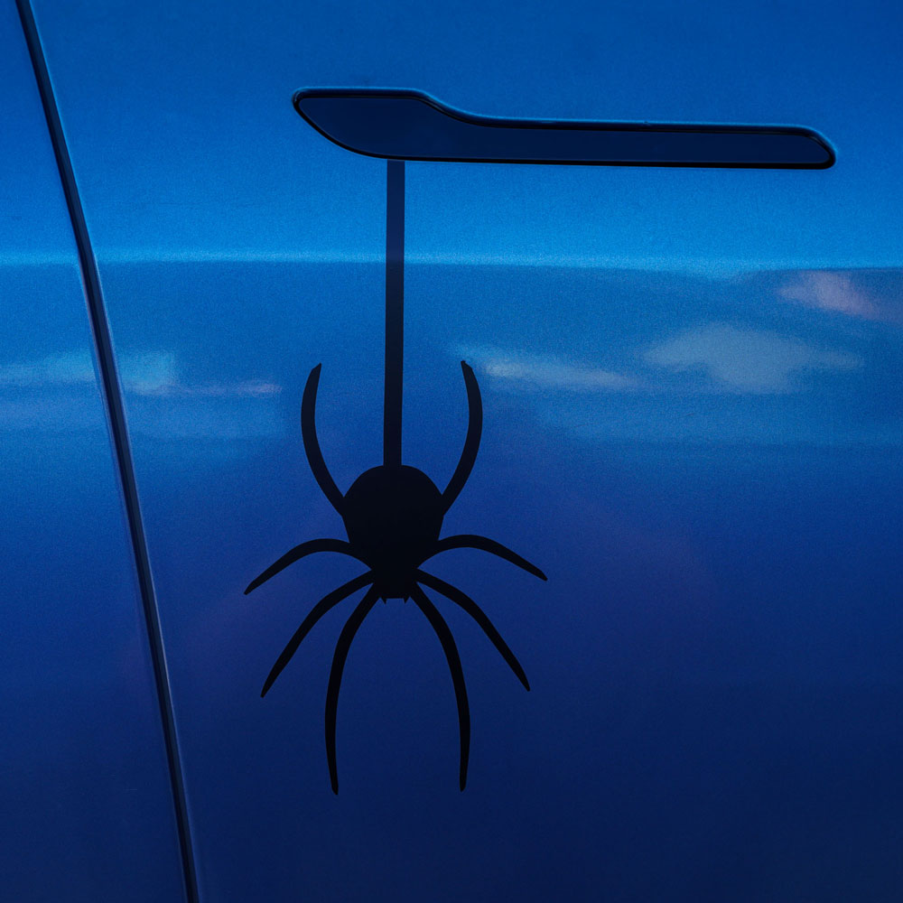 Spider | Halloween Wrap Kit