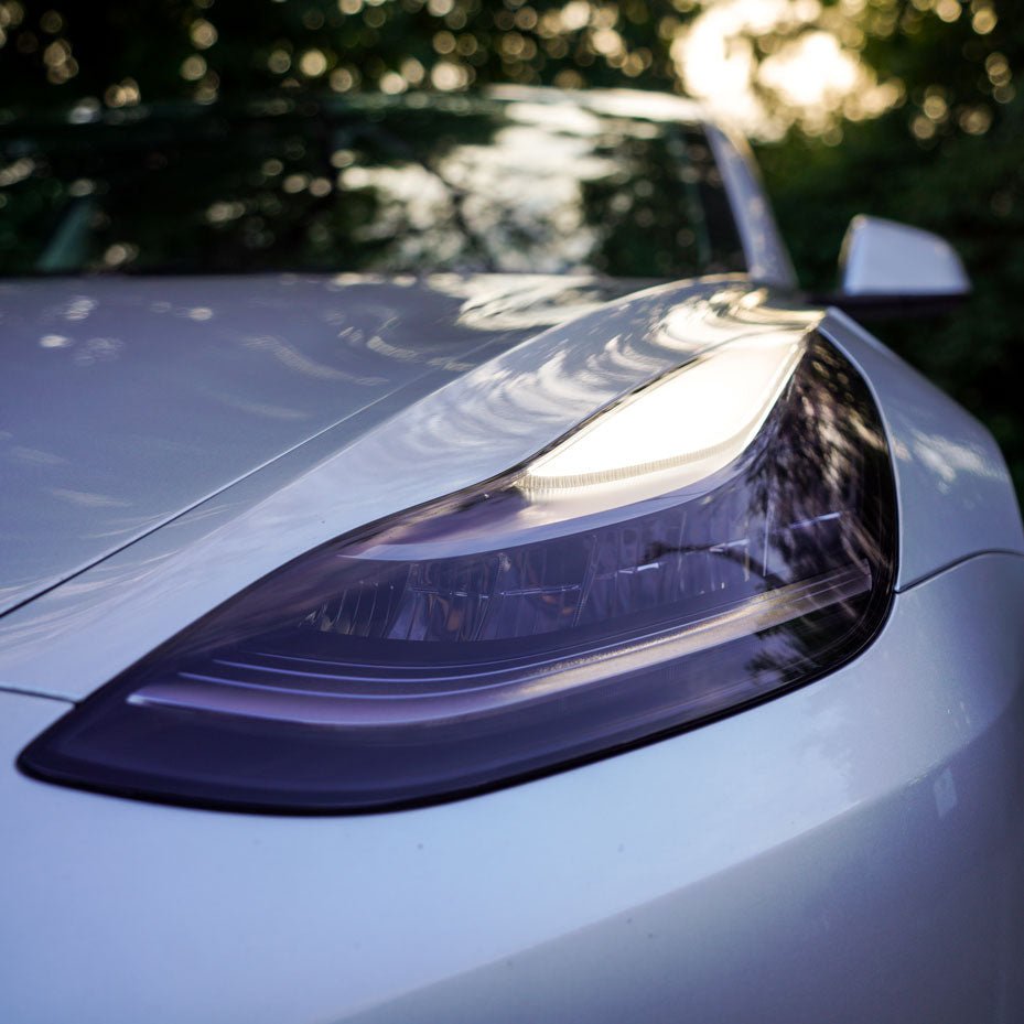Tinted Headlight and Foglight Protection for Model 3 / Y PPF -TB-3Y-HDLGHT-SHDPPF- TESBROS
